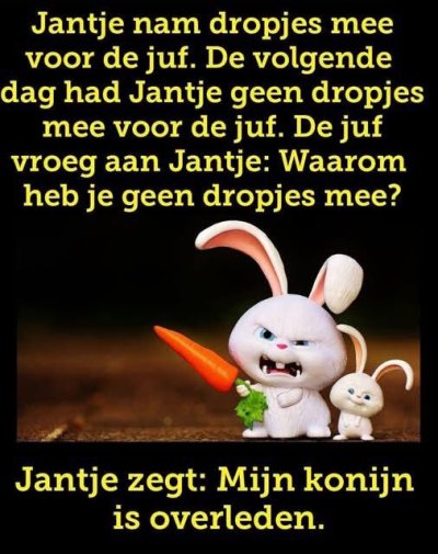 Watch Anita Kuipers's leaked NSFW photo on TwXstars