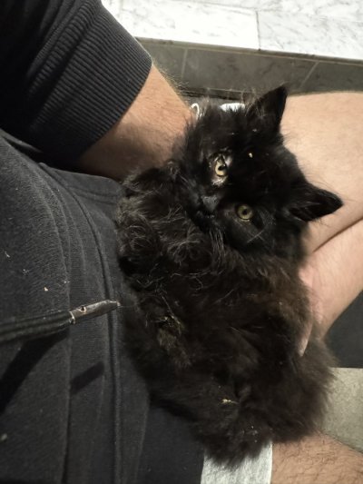 Watch Dante Colle ®'s leaked NSFW photo on TwXstars