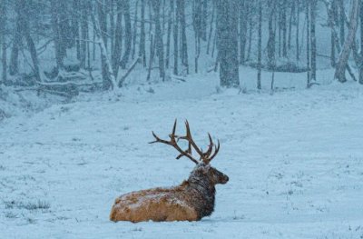 Watch Tony Stewart's leaked NSFW photo on TwXstars