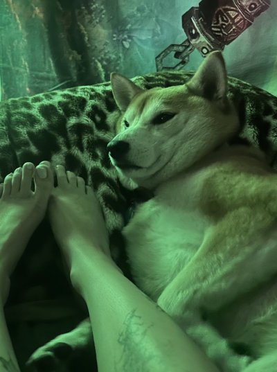 Watch zombrii 🤍's leaked NSFW photo on TwXstars