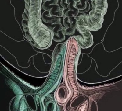 Watch 🇧🇷🦍🎧DJ XXXFLAVIO's leaked NSFW photo on TwXstars