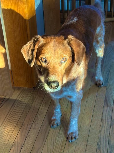 Watch Molly Moon 🌙's leaked NSFW photo on TwXstars