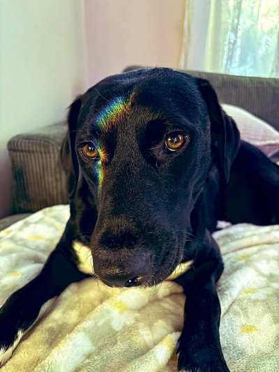 Watch Molly Moon 🌙's leaked NSFW photo on TwXstars