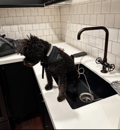 Watch Sabina Magic NYC 🪽🕊️☁️🪩's leaked NSFW photo on TwXstars