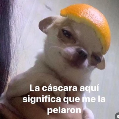 Watch 𝕄𝕚𝕣𝕏✨'s leaked NSFW photo on TwXstars