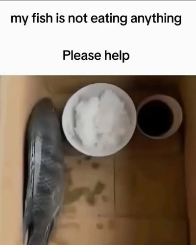 Watch Everything Out Of Context's leaked NSFW photo on TwXstars