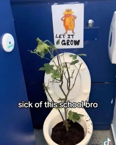 Watch Everything Out Of Context's leaked NSFW photo on TwXstars