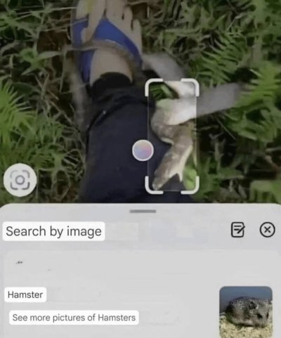 Watch Everything Out Of Context's leaked NSFW photo on TwXstars