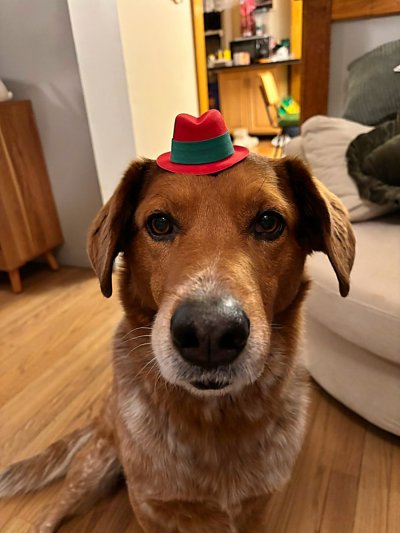 Watch Molly Moon 🌙's leaked NSFW photo on TwXstars