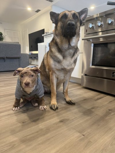 Watch Maddy O'Reilly's leaked NSFW photo on TwXstars