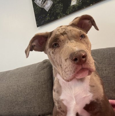 Watch Maddy O'Reilly's leaked NSFW photo on TwXstars