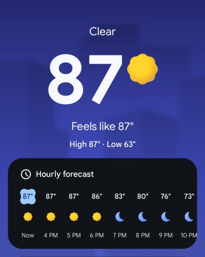 Watch Las Vegas Locally 🌴's leaked NSFW photo on TwXstars