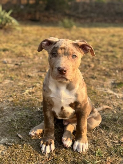 Watch Maddy O'Reilly's leaked NSFW photo on TwXstars