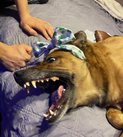 Watch Zoey Taylor's leaked NSFW photo on TwXstars