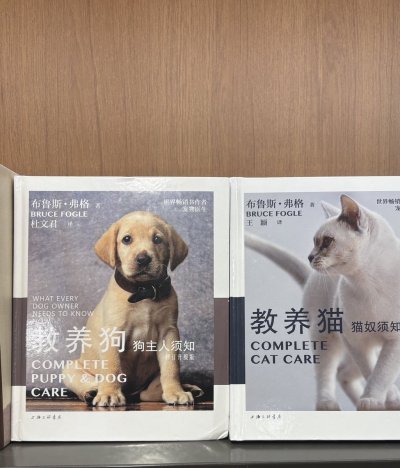 Watch Rules's leaked NSFW photo on TwXstars