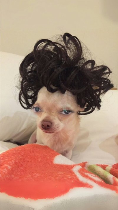 Watch Rhonda - OnlyOneRhonda's leaked NSFW photo on TwXstars