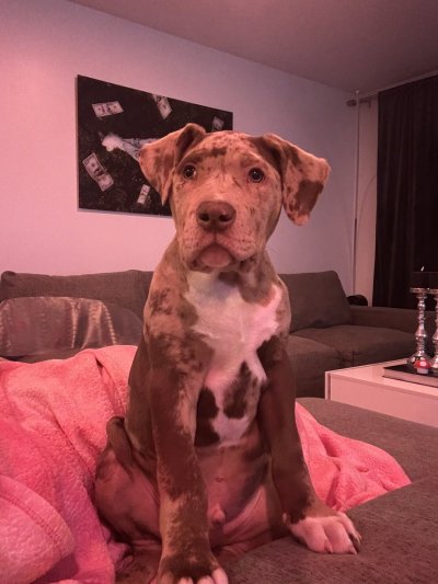 Watch Maddy O'Reilly's leaked NSFW photo on TwXstars