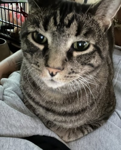 Watch Moo Baby!! 🐞🌳💫's leaked NSFW photo on TwXstars