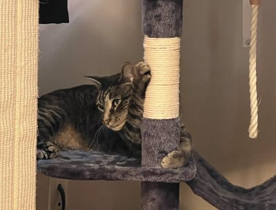 Watch Moo Baby!! 🐞🌳💫's leaked NSFW photo on TwXstars