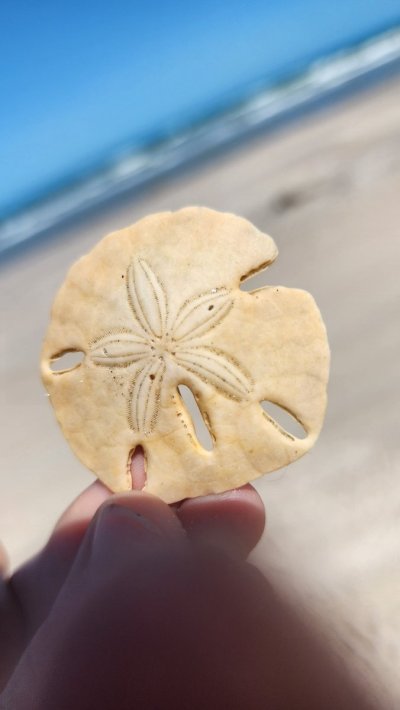 Watch Naomi Dee's leaked NSFW photo on TwXstars