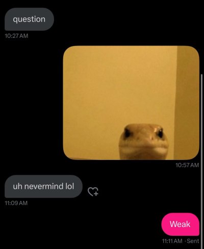 Watch Lana Bee 🔪 GSCP*'s leaked NSFW photo on TwXstars