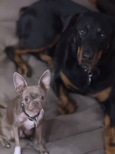 Watch Shay Sights's leaked NSFW photo on TwXstars