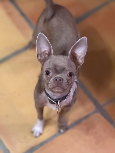 Watch Shay Sights's leaked NSFW photo on TwXstars