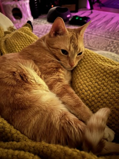 Watch Amy Ginger Hart's leaked NSFW photo on TwXstars