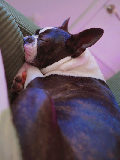 Watch Lana Bee 🔪 GSCP*'s leaked NSFW photo on TwXstars