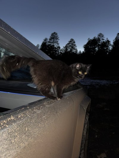 Watch Dante Colle ®'s leaked NSFW photo on TwXstars