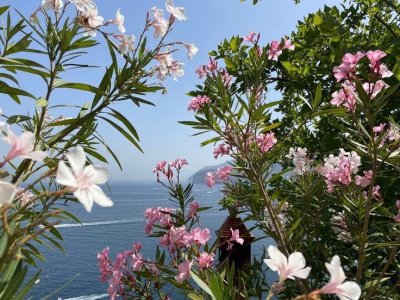 Watch em's leaked NSFW photo on TwXstars