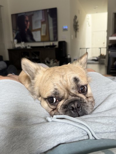 Watch JAKE ORION 🏳️‍⚧️'s leaked NSFW photo on TwXstars