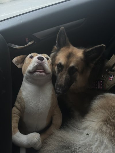 Watch Red 🇨🇦's leaked NSFW photo on TwXstars