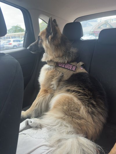 Watch Red 🇨🇦's leaked NSFW photo on TwXstars