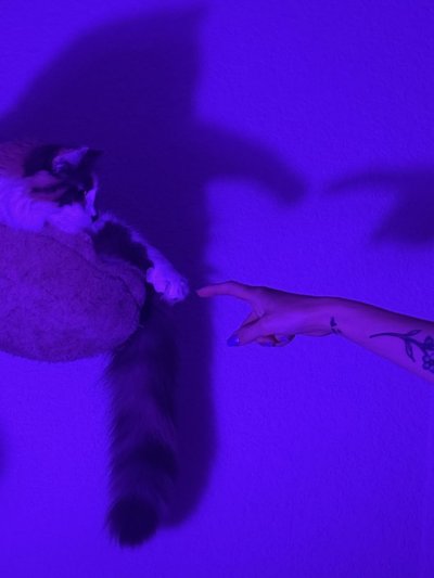 Watch novaruu's leaked NSFW photo on TwXstars