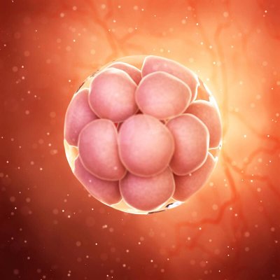 Watch novaruu's leaked NSFW photo on TwXstars