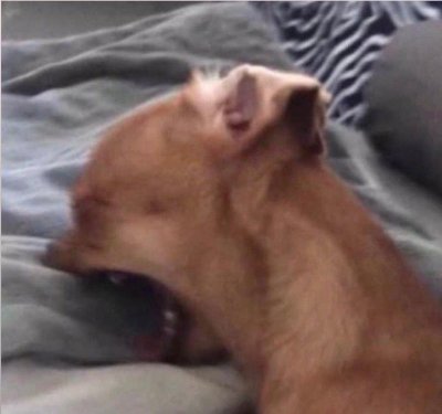 Watch Salice Rose's leaked NSFW photo on TwXstars