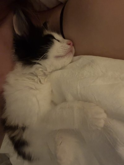 Watch novaruu's leaked NSFW photo on TwXstars