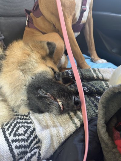 Watch Red 🇨🇦's leaked NSFW photo on TwXstars