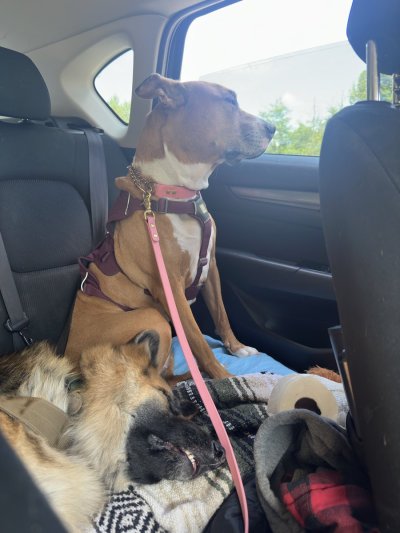 Watch Red 🇨🇦's leaked NSFW photo on TwXstars