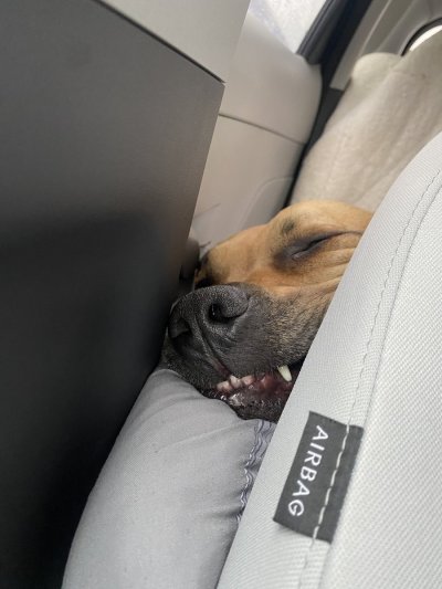 Watch She Devil 😈's leaked NSFW photo on TwXstars