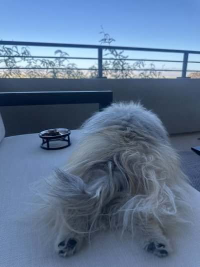 Watch NIKKI BENZ's leaked NSFW photo on TwXstars