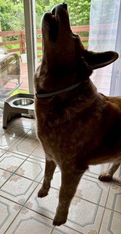 Watch Molly Moon 🌙's leaked NSFW photo on TwXstars