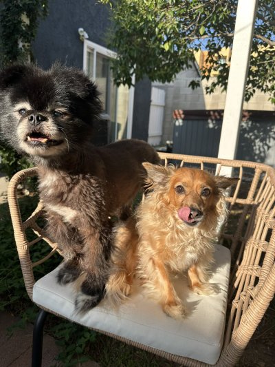 Watch Aaliyah Love🎀's leaked NSFW photo on TwXstars