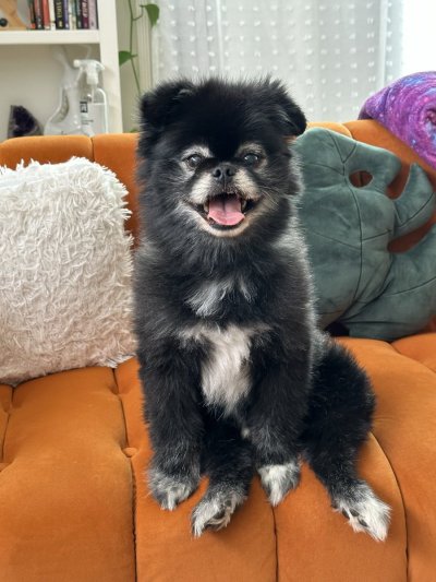 Watch Aaliyah Love🎀's leaked NSFW photo on TwXstars