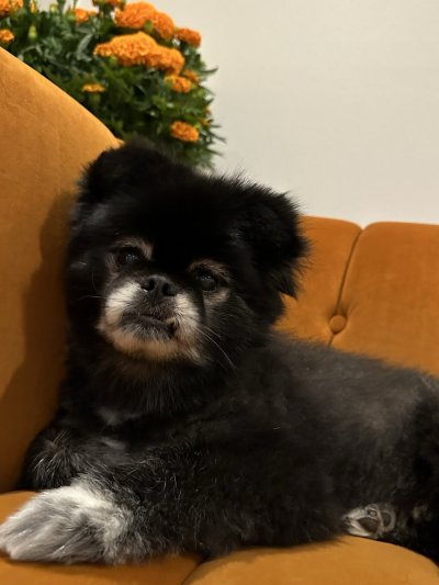 Watch Aaliyah Love🎀's leaked NSFW photo on TwXstars