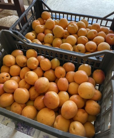 Watch Radagonnn86's leaked NSFW photo on TwXstars