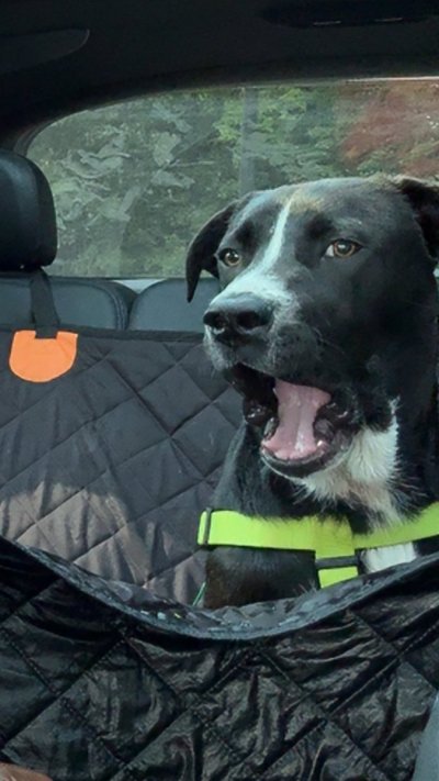 Watch Zoey Taylor's leaked NSFW photo on TwXstars