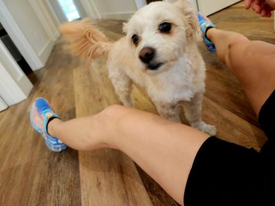 Watch Kalina Ryu's leaked NSFW photo on TwXstars