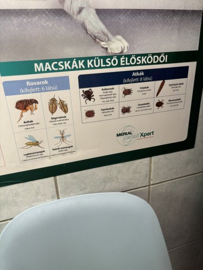 Watch Amber Kawaii's leaked NSFW photo on TwXstars